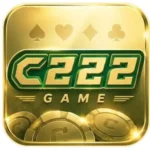 C222 Game