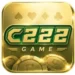 C222 Game